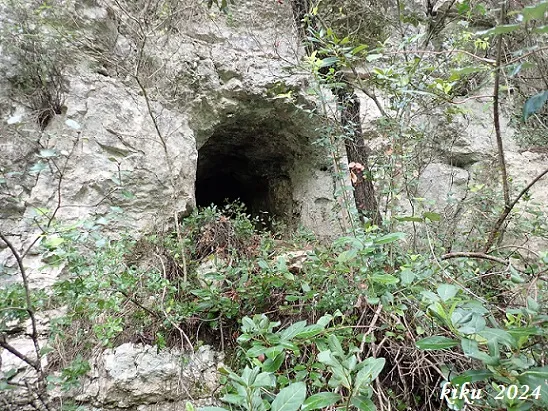 Fotografía de TOIXÓ, COVA DEL (1 de 7)