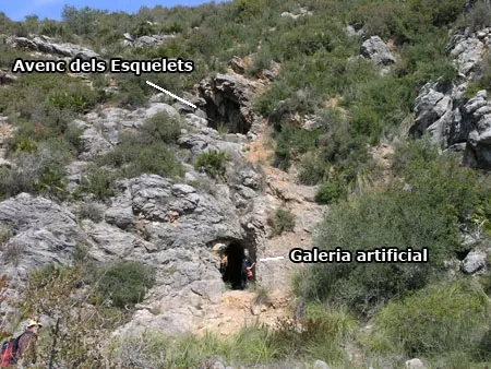 Fotografía de ESQUELETS, AVENC DELS (1 de 6)