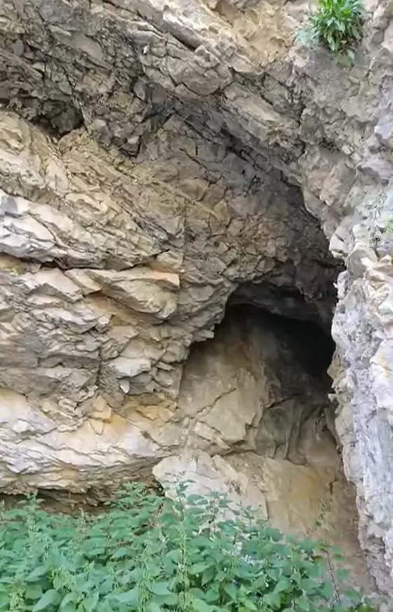 Fotografía de TORRENT DELS CORTILS, COVA DEL (1 de 6)