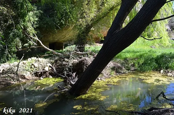 Fotografía de FORESOS, BALMA DELS (2 de 8)