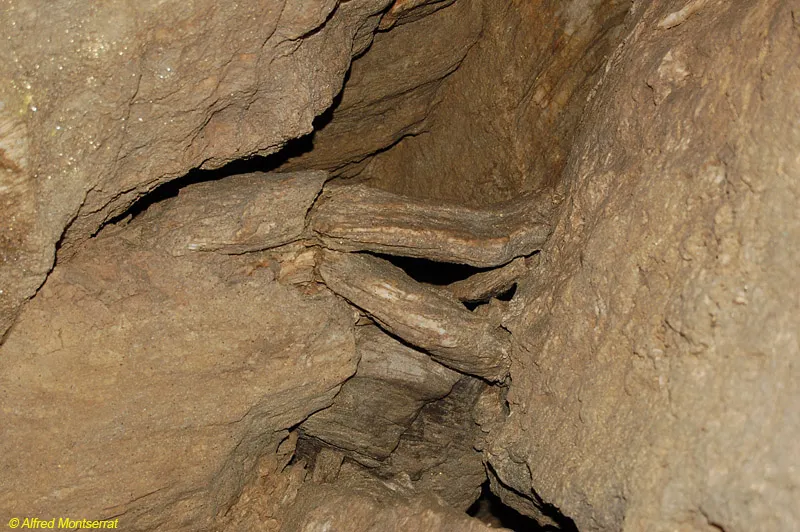 Fotografia de CASTELL DE PALMEROLA, COVA DEL (5 de 8)