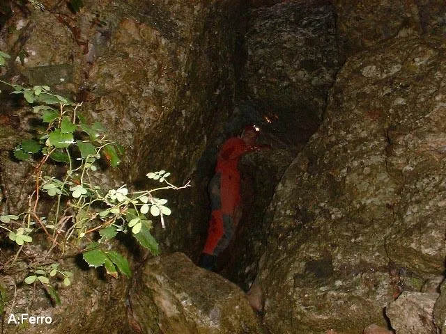 Fotografia de FONDAL, COVA DEL (1 de 4)