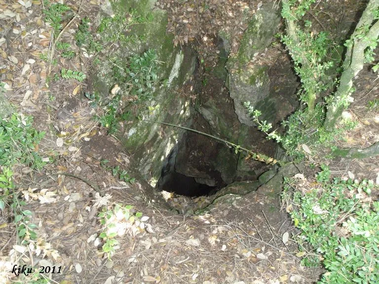 Fotografia de MUSTÉ RECASENS, AVENC (1 de 5)