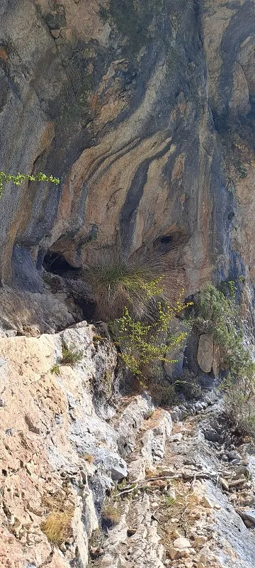 Fotografia de COMARQUES, COVA DE LES (2 de 5)