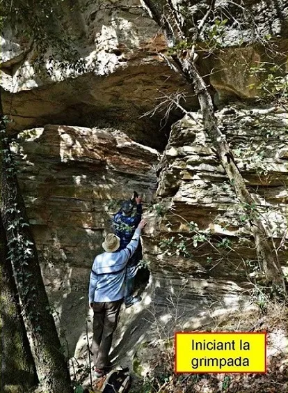 Fotografía de AVELLANA, COVA DE S' (2 de 5)