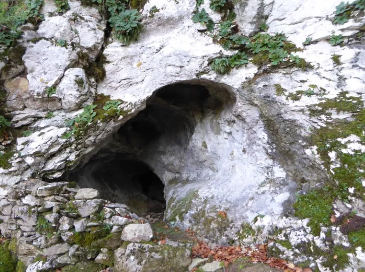 Fotografia de MASSOT, COVA D'EN (1 de 1)