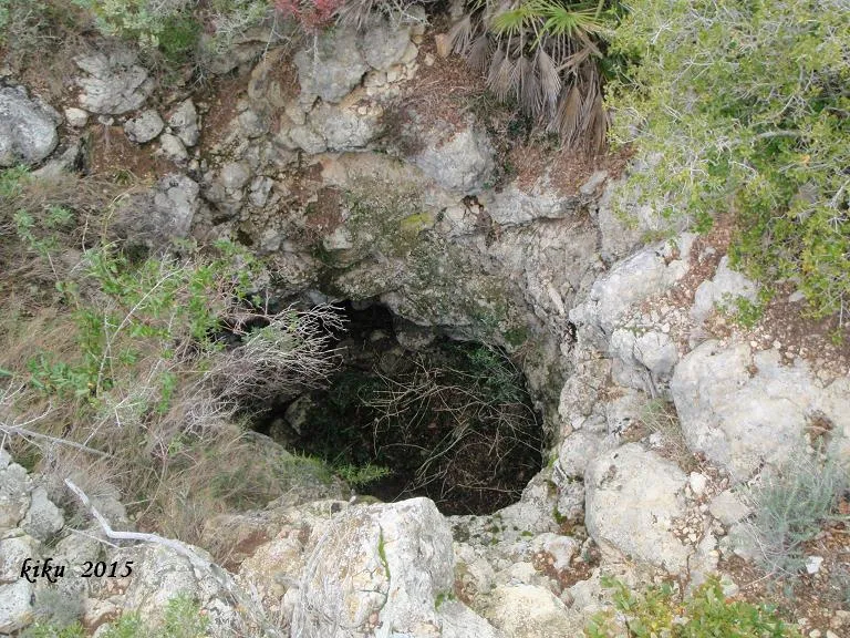 Fotografía de PUIG FRANCÀS, AVENC DE (1 de 7)