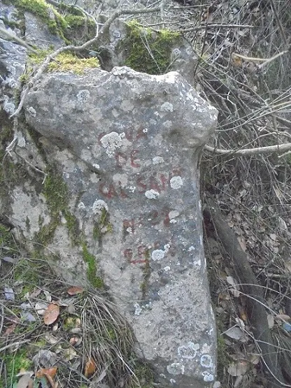 Fotografía de CAL SANT, COVA DE (1 de 5)