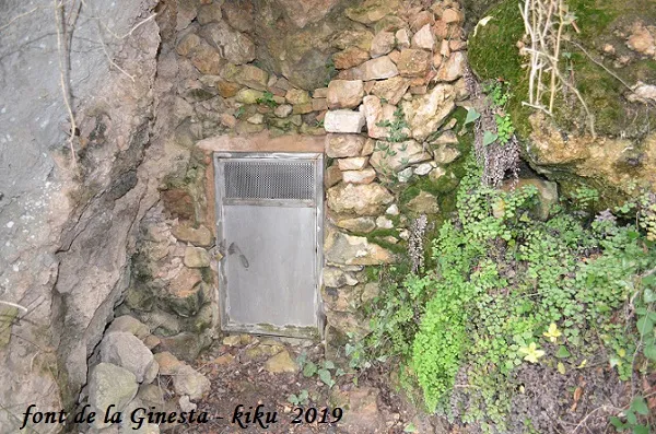 Fotografia de BAIXA, COVA (1 de 6)