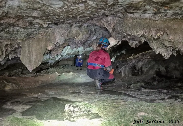 Fotografia de AIGUA DE CASELLES, COVES DE L' (3 de 13)