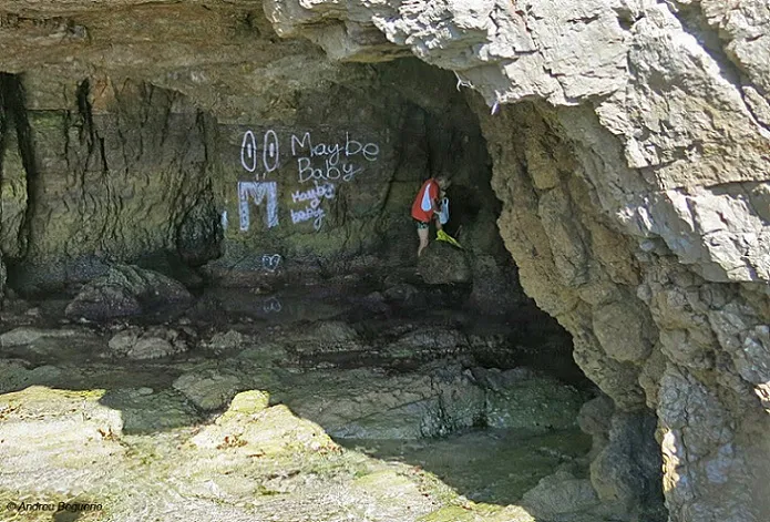 Fotografia de FORTÍ DE LA REINA, COVA DEL (4 de 4)