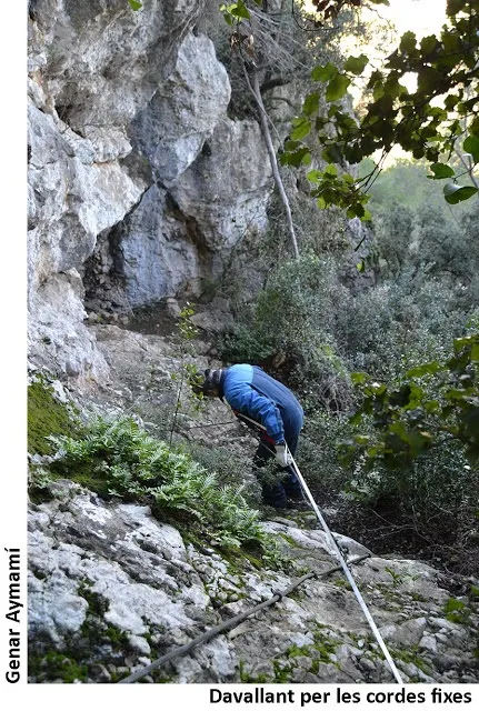 Photographie de BOUS, COVES DELS (1 sur 5)