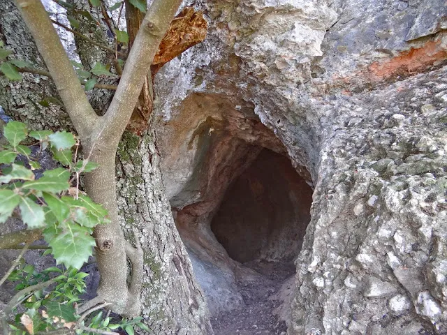 Photograph of PUJOL DE LA MATA, FORADADA DEL (3 of 4)