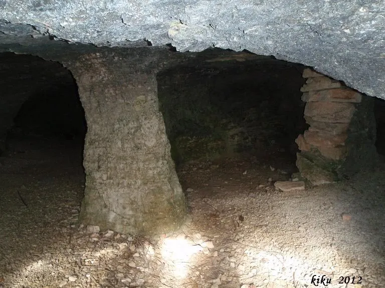Fotografía de ARENA, COVA DE L' (2 de 4)
