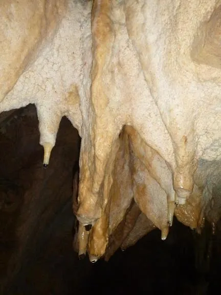 Photograph of GORJA DEL GAIÀ, COVA DE LA (6 of 6)
