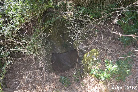 Photograph of GINA, FORAT DE LA (1 of 4)