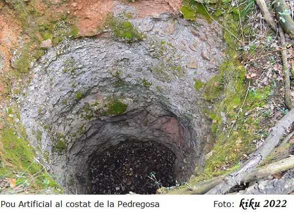 Fotografia de PEDREGOSA, LA (5 de 5)