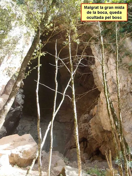 Fotografia de NEGRE D'ESCALES, FORAT (1 de 6)
