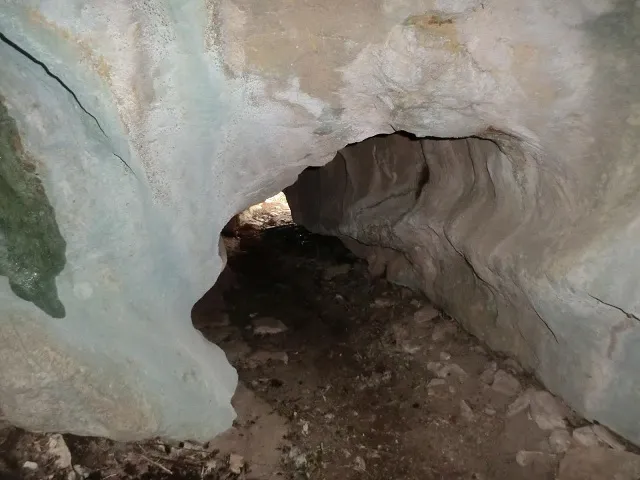 Photographie de PLA DE VACA, COVA DEL (2 sur 4)