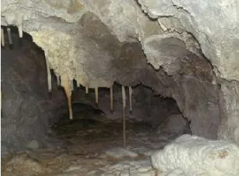Fotografía de CAP DERA SERRA, COVA DETH (5 de 5)