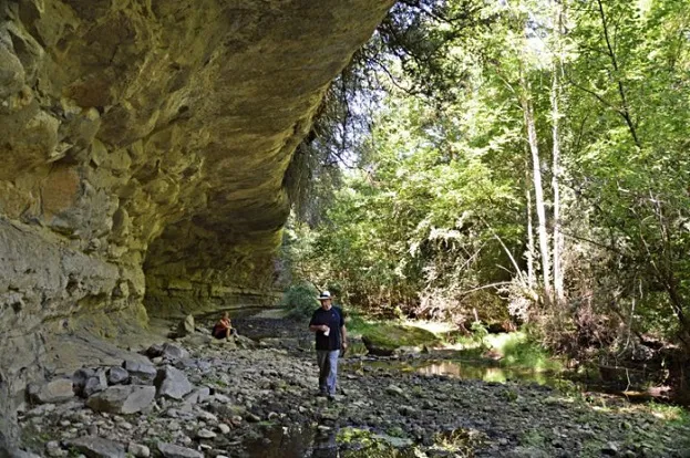 Photograph of TORRENT DE LA FÀBREGA, BAUMA DEL (1 of 2)