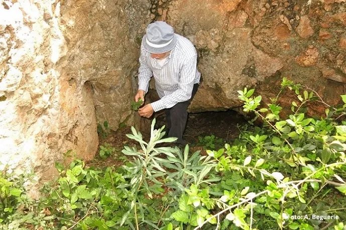 Fotografia de COLLET, AVENC DEL (3 de 6)