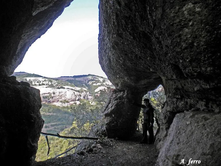 Fotografía de MURONELL, COVA DEL (2 de 4)
