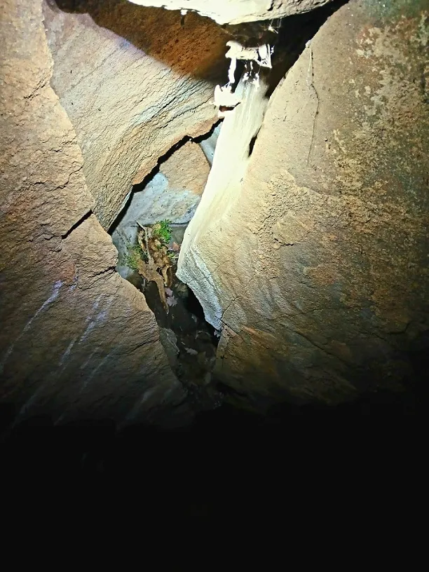 Fotografia de SASTRE, COVA DEL (4 de 4)