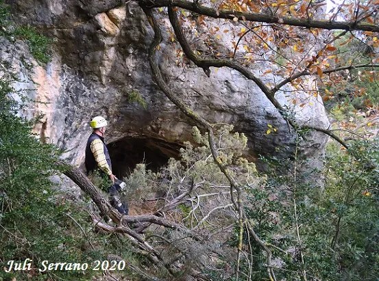 Photograph of BOSQUET, COVA DEL (2 of 10)