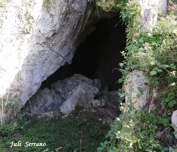 Fotografia de CIM DE L'OBAGA DEL POLLO, COVA-AVENC DEL (1 de 7)