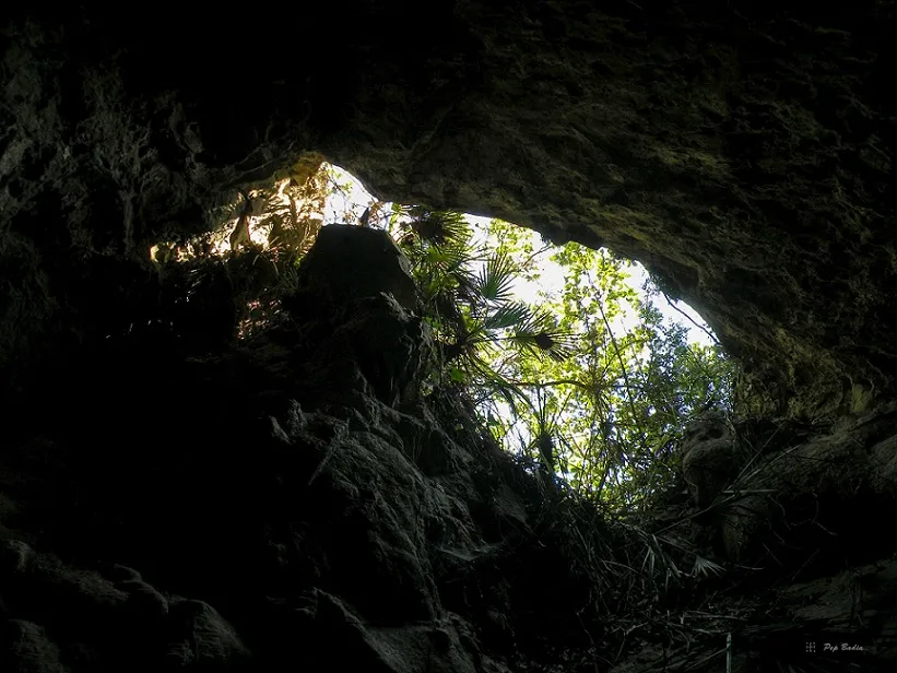 Photographie de CANTARELLA, COVA DE LA (2 sur 5)