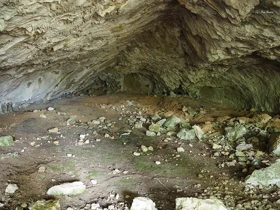 Fotografía de PASTOR, COVA DEL (5 de 12)