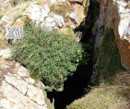 Photograph of GRALLES, FORAT DE LES (2 of 2)