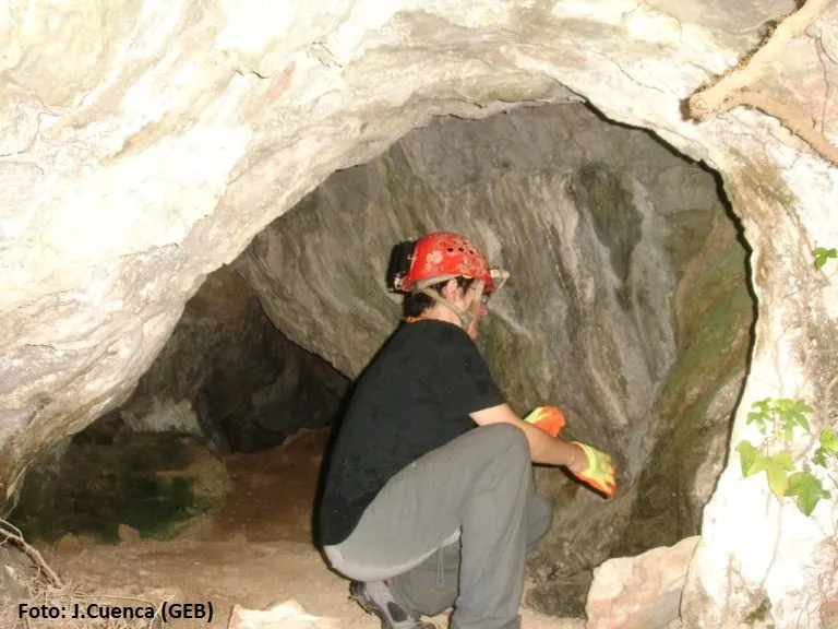 Photograph of CARXOL, COVA DEL (3 of 5)