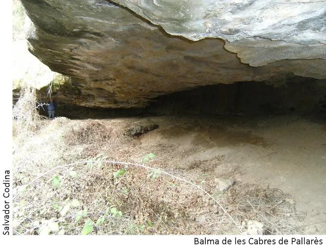 Photographie de CABRES DE PALLARÈS, BALMA DE LES (2 sur 2)