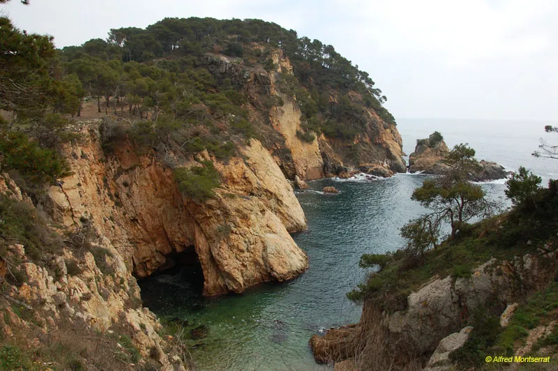 Fotografia de CASTELL, SA FORADADA DES (1 de 1)