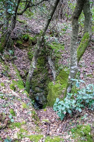 Photograph of GUILLOTERES, COVA DE LES (1 of 3)