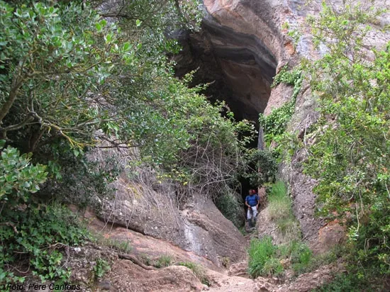 Photograph of SIMANYA, COVA (2 of 11)