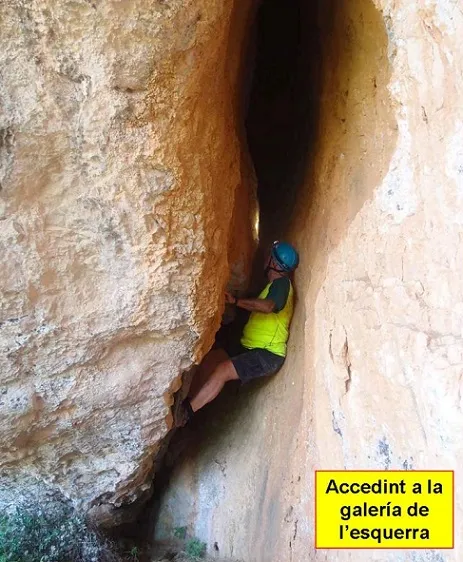 Photographie de SAL, COVA DE LA (7 sur 8)