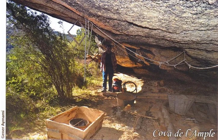 Fotografía de AMPLE, COVA DE L' (1 de 1)