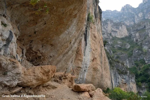 Fotografia de AIGUADONZELLA, COVES D' (5 de 5)