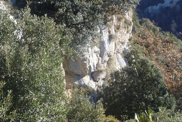 Photographie de PLA DE VACA, COVA DEL (4 sur 4)