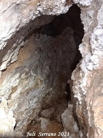 Fotografia de SERRA DEL MAS, COVA SM-18 DE LA (4 de 6)