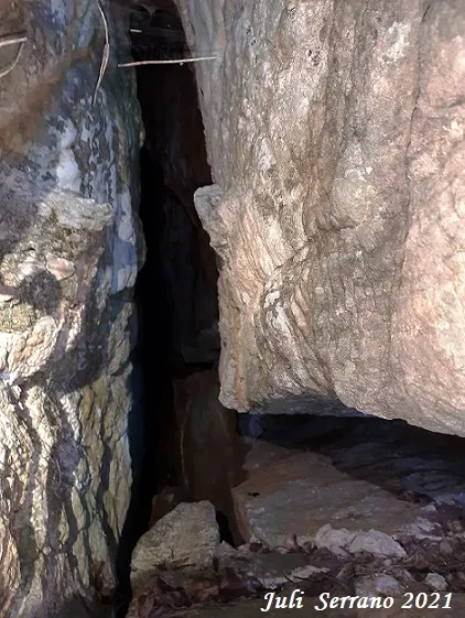 Fotografia de SERRA DEL MAS, COVA SM-16 DE LA (3 de 9)