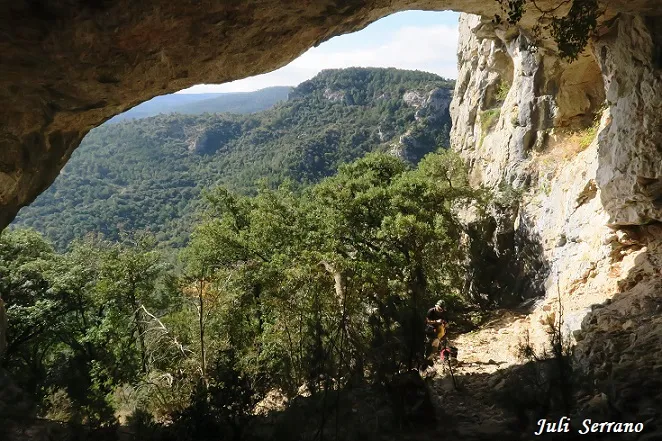 Fotografía de CINGLE DE L'ABELLERA, COVA DEL (6 de 6)