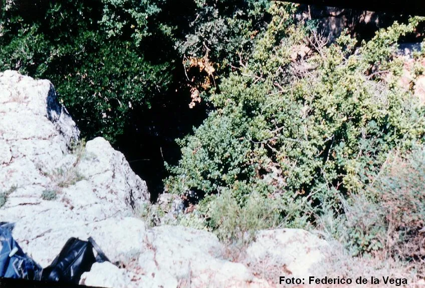Fotografia de BIOT, COVA DEL (1 de 1)