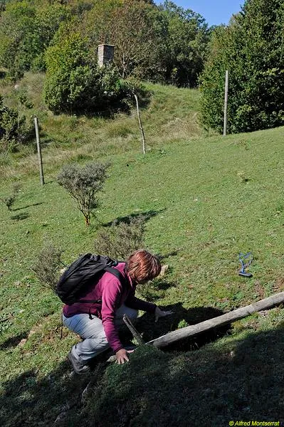 Photographie de COLL DE LA CREUETA, ESQUERDA DEL (1 sur 3)