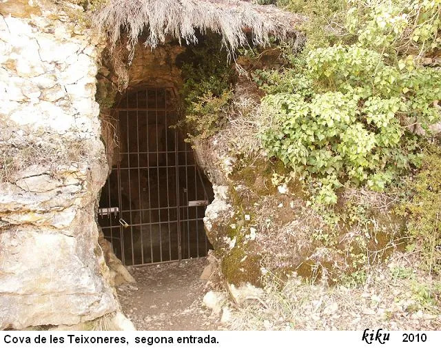 Fotografia de TEIXONERES, COVA DE LES (1 de 6)