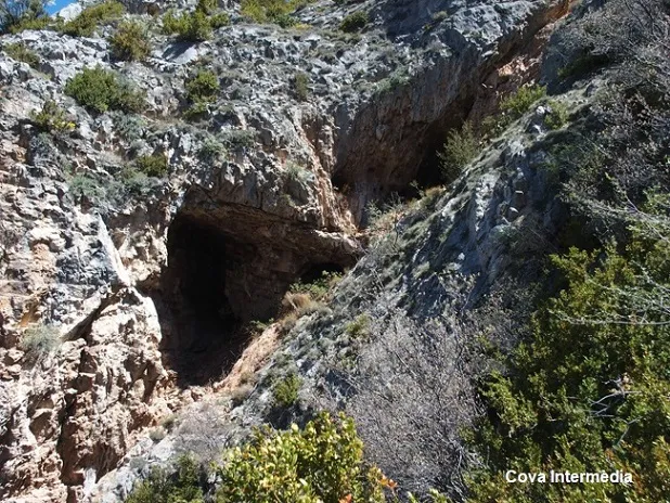Photographie de ROCA D'URÚS, COVA INTERMÈDIA DE LA (2 sur 5)