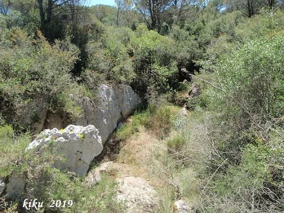 Fotografía de JOAN FALGÀS, COVA D'EN (1 de 5)